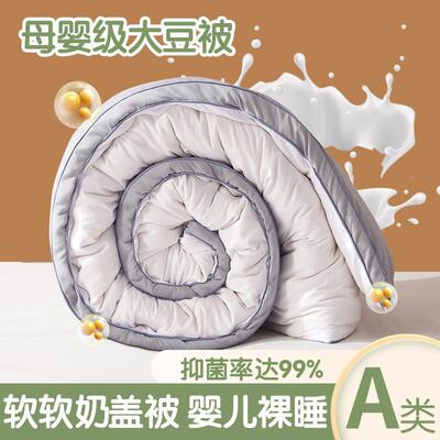 a类维母婴瑶瑶大豆纤被子保暖冬被单双人春厚亲秋肤棉被芯加厂家