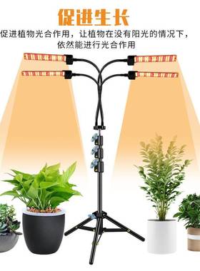 谦照明植菜物灯le润d室内全光谱植物光灯蔬TQE大棚种植补灯折叠落