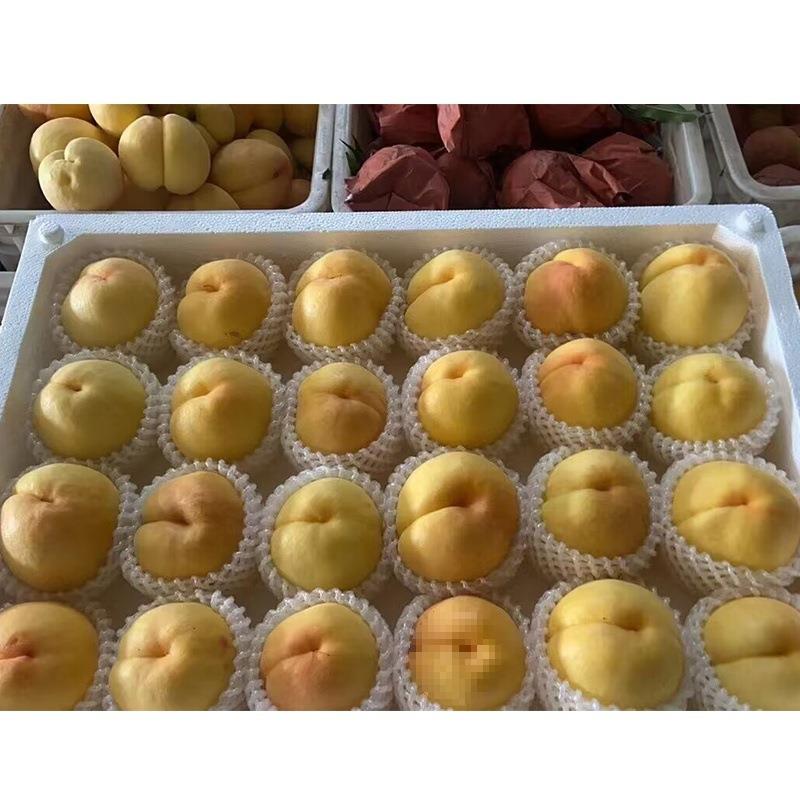 葡萄黄MBI枇杷沫托盘草莓箱桃泡沫箱托盘泡沫水蜜水桃芒泡果果周