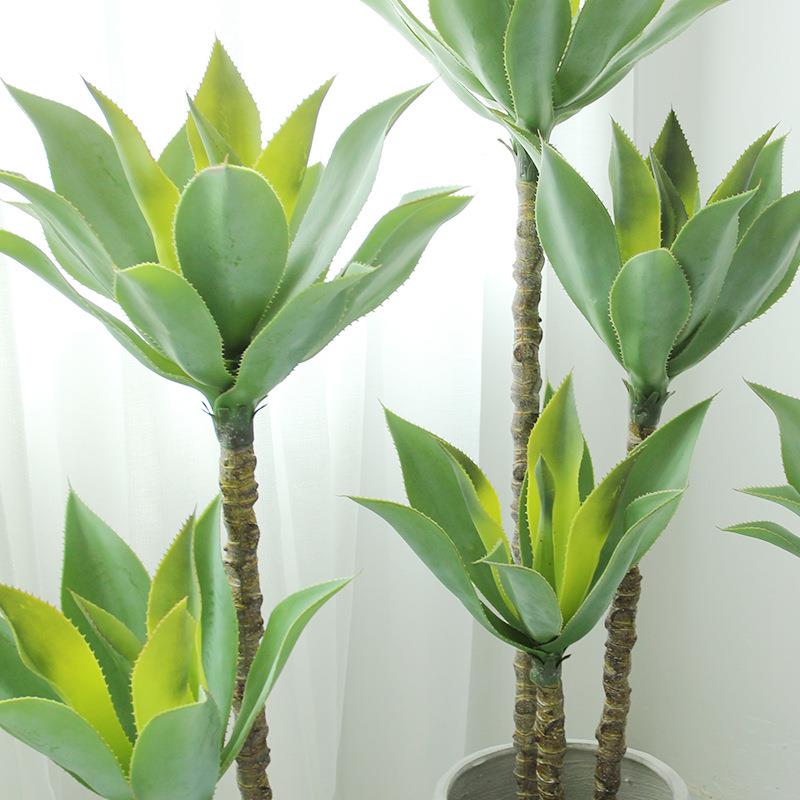 仿真聚宝莲布热带绿沙漠植物盆栽KXEJS-聚高杆多大型落地肉植造景