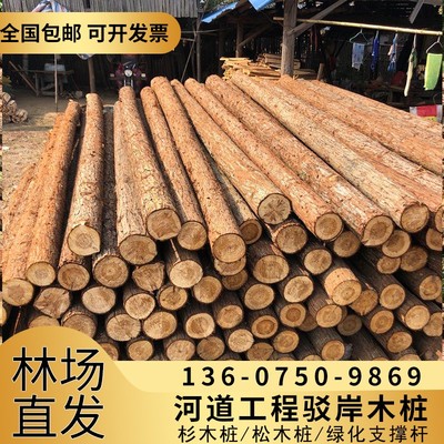 杉木桩打c桩木户外河道驳岸松木原木桩 绿化杉木支撑杆 落叶松木