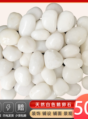 50斤白色抛光鹅卵石庭院花园铺路铺地大小N石头户外阳台造景雨花