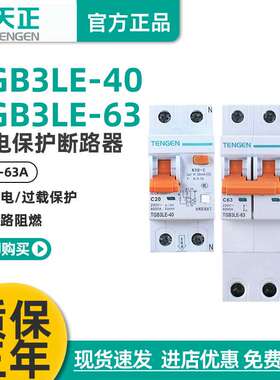 TENGEN天正TGB3LE-32/63空气开关带漏电保护器2P电闸63A单相家用