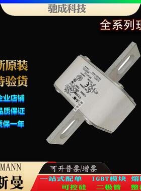 巴斯曼170M6714 170M6715 170M6716 厂价直销优价供应 快速熔断器