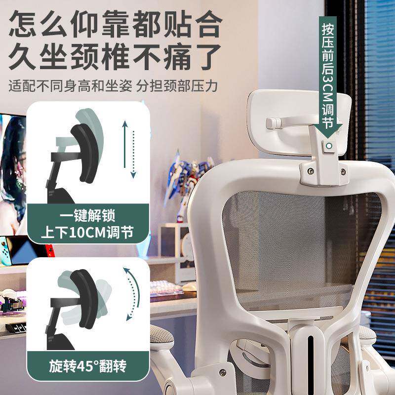 人体工学椅电脑家用办舒服久坐靠椅背宿舍电竞椅男公学椅无品牌/