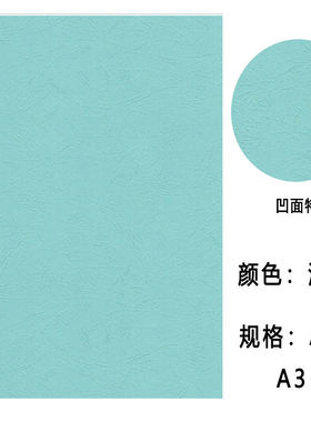 皮封纸皮纹纸Ah3+++加长封纸面装封面纸云彩纸装订纸封面纸660*21