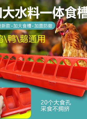 喂鸡食槽养鸡大号水槽长方形塑料家禽喂食器饲料盆鸡鸭鹅防撒长槽