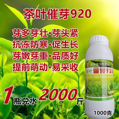 茶叶催芽920茶树专用叶面肥茶树催芽剂茶叶猛长叶面肥芽嫩芽叶绿,