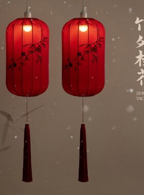 新年红色灯笼挂饰2025新款中式宫灯过年春节庭院阳台门口一对装饰