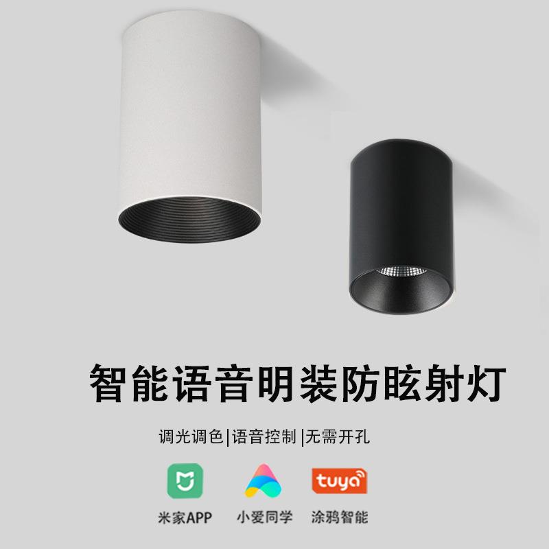 智能明装免吊顶筒灯射灯长筒免开孔客厅过道用灯深防眩led天花灯