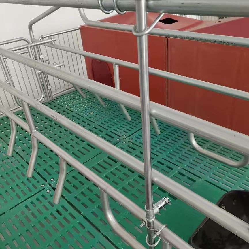 厂家现货母猪复合产床猪用产保两用双体产床母猪分娩栏全复合 仔