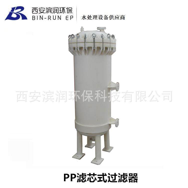 西安滨润 现货供应全塑PP袋式过滤器 耐酸碱 PP精密过滤器,鲜花速递/花卉仿真/绿植园艺,割草机/草坪机,淘宝优惠券,粉丝福利购,淘宝优惠卷