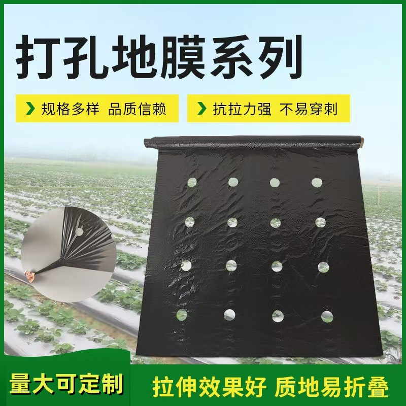 黑色农用地膜打孔塑料膜种菜专用保温大蒜草莓大棚种植薄膜四孔膜