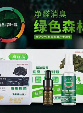 路诗尼绿色空间汽车除异味车内除臭剂除甲醛汽车香膏消毒净化空气