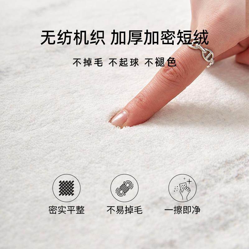 地毯客极厅225新款现代简JR202509风0卧室轻奢高级感沙发免洗可擦