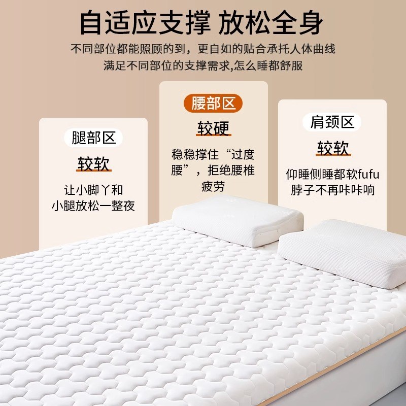 乳胶记忆棉e床垫家用卧室软垫宿舍学生单人榻榻米海绵褥垫子遮盖