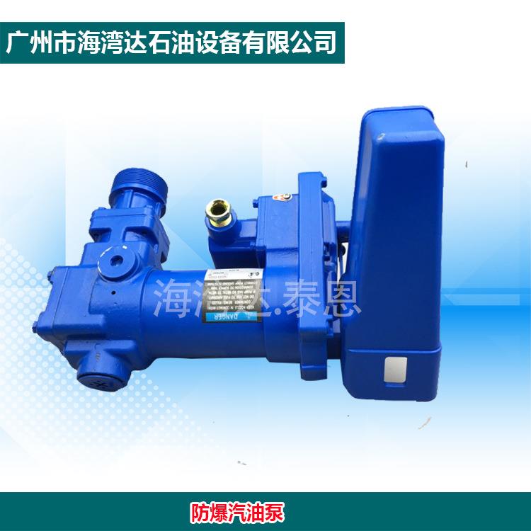 防爆汽油泵抽油泵直流自吸抽柴油汽油加油机泵DC12V24V防爆泵