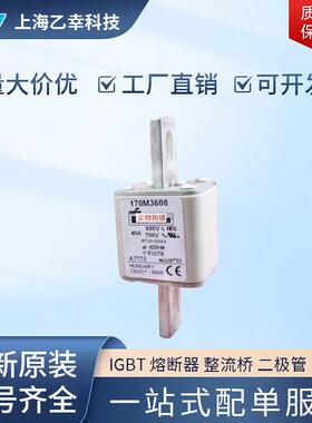 巴斯曼熔断器 170M4144 170M4145 170M4146 170M4147 170M4158