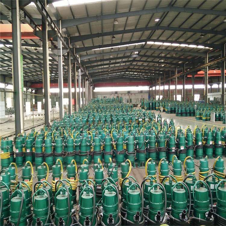 3KW矿用隔爆型排污排沙潜水电泵  BQS矿用排污排沙潜水电泵