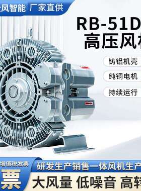 RB-41DH-2气环式真空泵RB-52SH-2侧流式高压真空气泵抽吸两用气泵