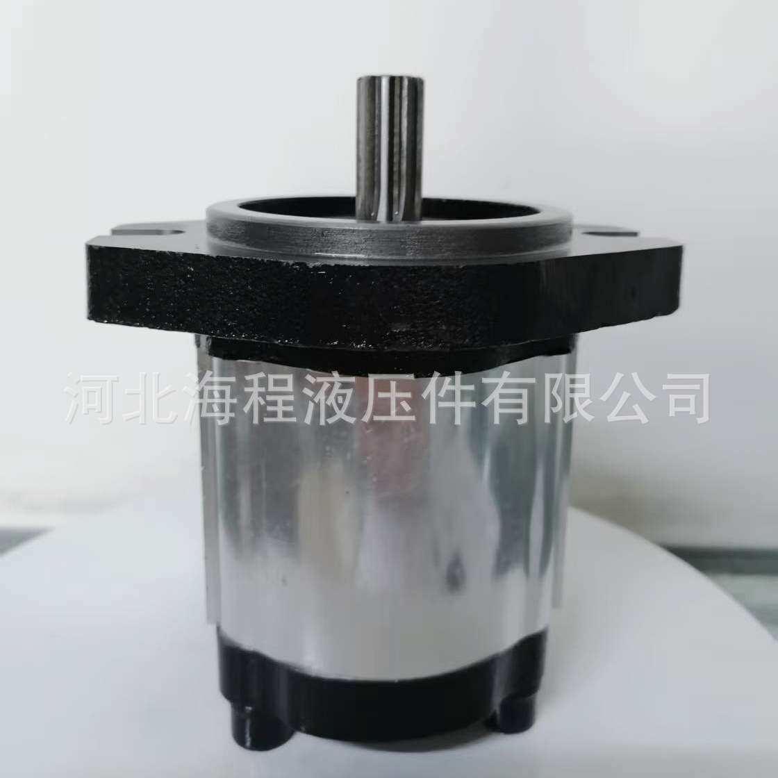 HGP CI09S-A02-069L 液压泵 出口专用 9 Tooth Spline Shaft