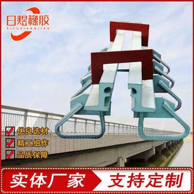 GQF-C/E/F/Z/RG型伸缩缝变形缝公路桥梁伸缩缝D40/60型桥梁伸缩缝
