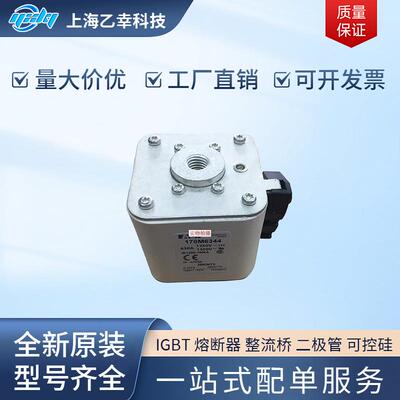巴斯曼熔断器 170M6311 170M6312 170M6313 170M6314 170M6315