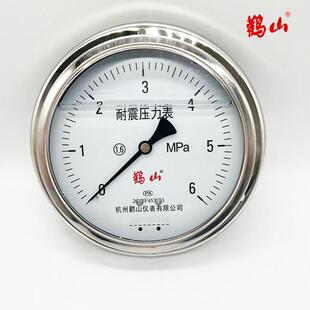 耐震不锈钢压力表YN150BFZT 轴向面板式防水防尘耐腐蚀鹳山压力表