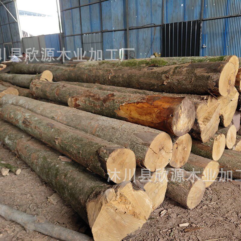 四川金丝楠木加 工 小叶桢楠阴沉木乌木 金丝楠原木家装材料