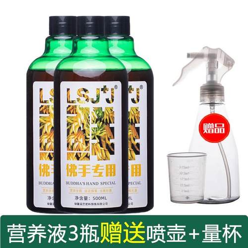 六素九加九佛手专用肥料有