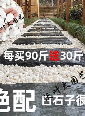 白石头小石子铺路白色鹅卵石装饰小石头白石子造景庭院子铺地 买3