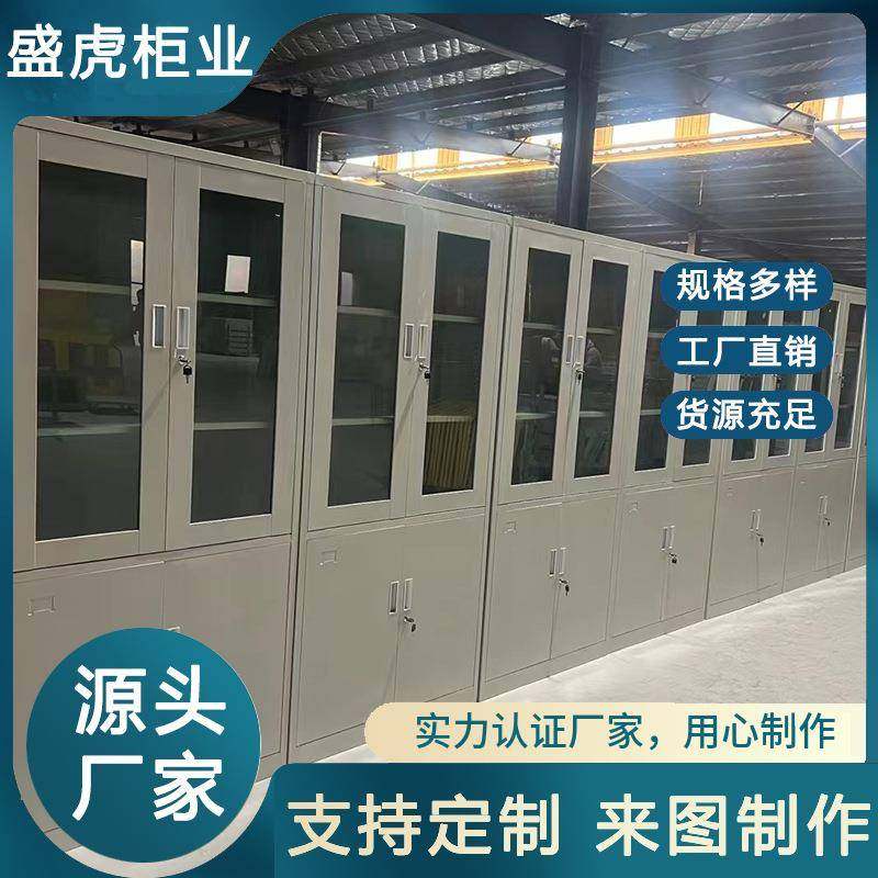 对开玻璃资料档案柜财务资料存储保密柜不锈钢带锁资料矮柜