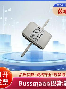 熔断器170M6164 170M6165 170M6166 170M6167 170M6168 170M6169