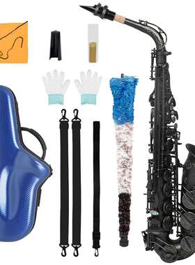 SLADE雷德中音萨克斯降E调白铜管体鲍鱼壳按键磨砂工艺镀黑镍精品