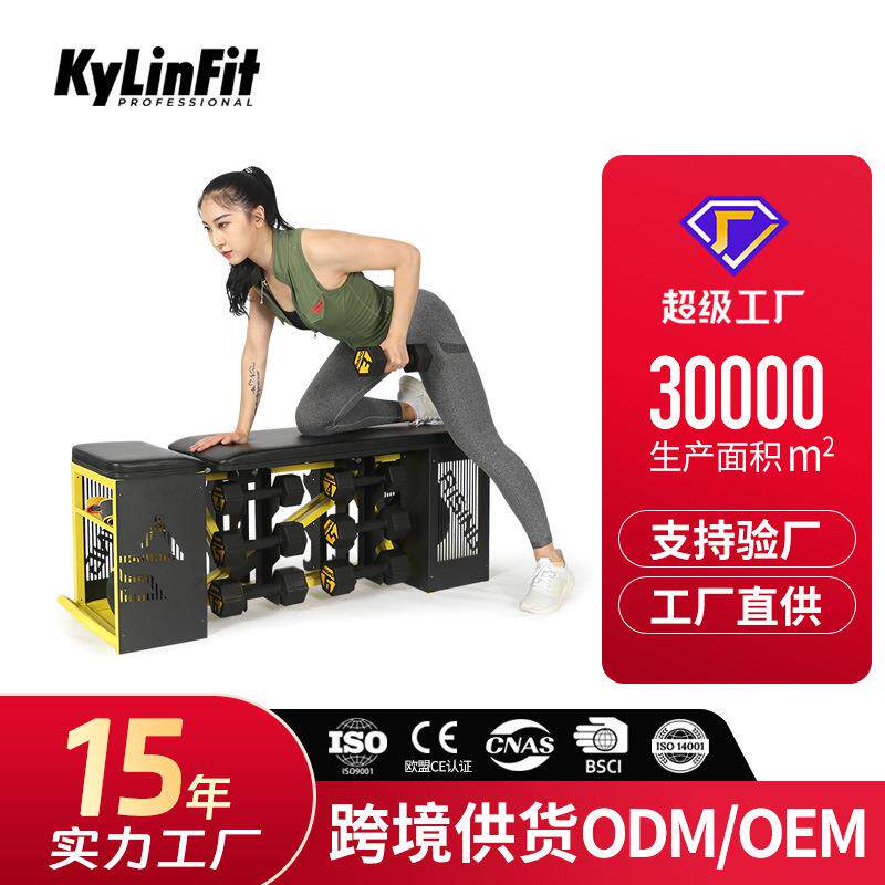 商用一体式健身房可移动度角度调节哑铃存放箱哑铃凳哑铃箱