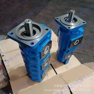 2080 福力德供应CBG2050 CBG2080 BFH BFH双联齿轮油泵 2040