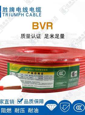 国标铜芯BVR10平方家装单芯多股软电缆线胜牌厂家直销规格齐全