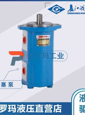 长江齿轮泵CMK1004/1006/1008/1010/1012/1016/1020/25-B4D-439LR