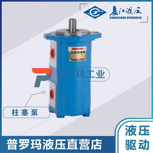 长江齿轮泵CMK1004/1006/1008/1010/1012/1016/1020/25-B4D-439LR