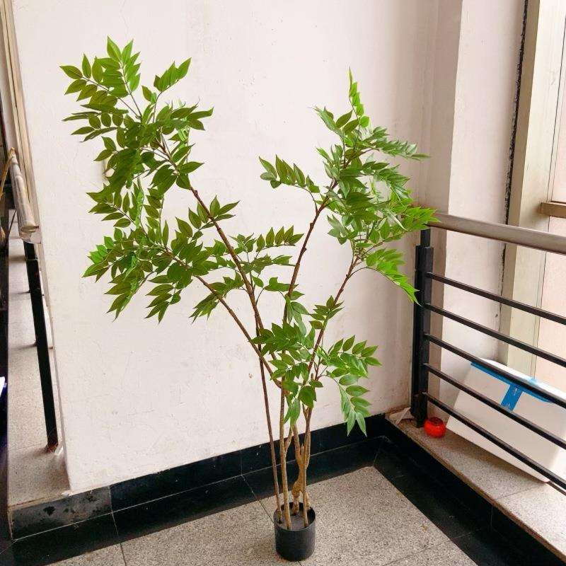 仿真香椿树 大型落地装饰绿植盆栽 室内家居摆件假树橱窗植物盆景
