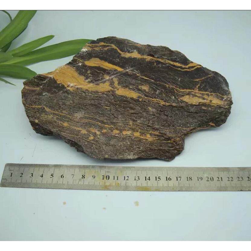 青田石1.6公斤天然黄木纹石奇纹图纹石叶腊石篆刻印章摆件雕刻料