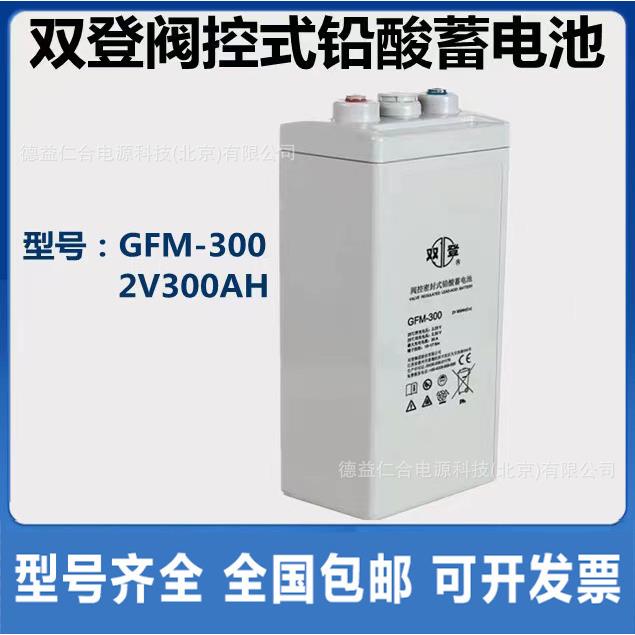 双登蓄电池GFM-300/2V300AH铅酸蓄电池GFM-300/UPB蓄电池