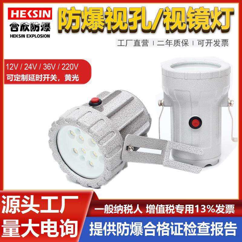 LED防爆视孔灯5W20W防爆内视灯AC220v24v36V化学反应釜防爆视镜灯