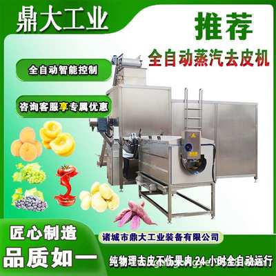 全自动果蔬蒸汽去皮机 葡萄蒸汽去皮机 葡萄去皮机设备高压清洗机