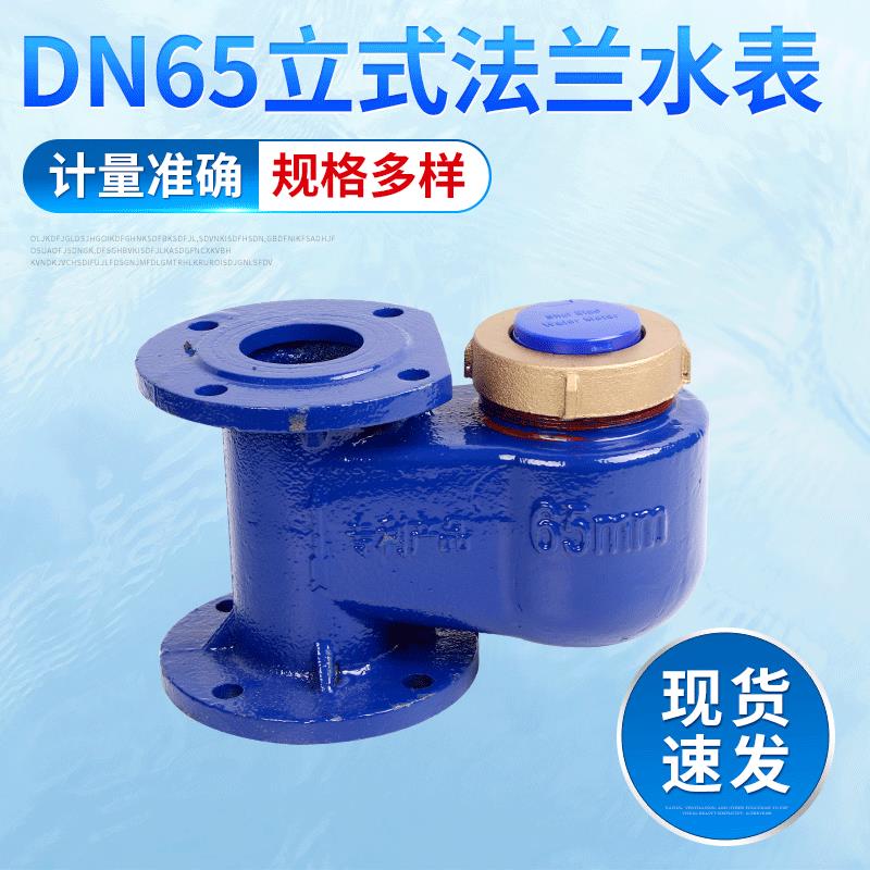 DN65立式全铁法兰水表水电工程指针字轮组合式民用立式法兰水表