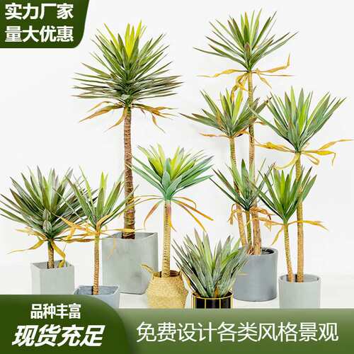 绿植荷兰铁假树盆栽大型客厅装饰假植物仿真树造景龙舌兰装饰树