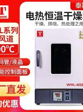 天津泰斯特WHL-30B/45B/65B/125B系列电热恒温干燥箱立式