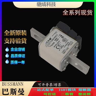 巴斯曼170M3648 170M3650 170M3655 大量现货价格优惠 原装熔断器
