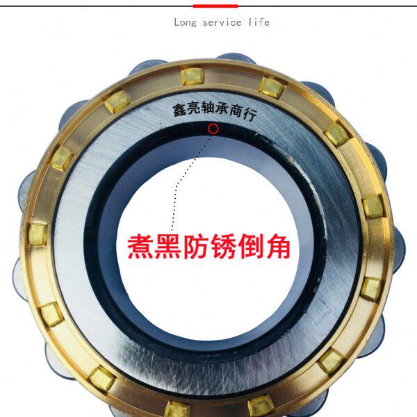 XLA鑫亮减速机偏心替代进口轴承RN205 206 307 309 312 219 222M