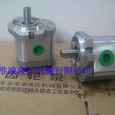 P208/P211/P214/P216/P221RP04DT 等 19.05 轴订做齿轮泵